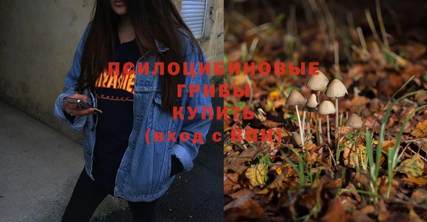 марки lsd Беломорск