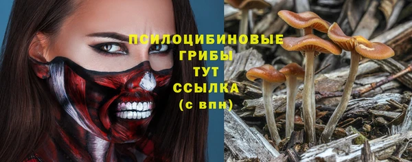 марки lsd Беломорск
