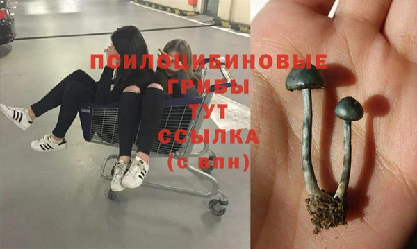 apvp Балабаново